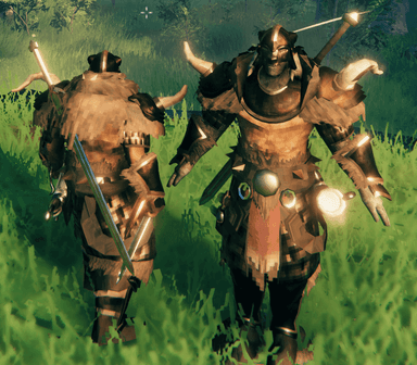 Odr armor front